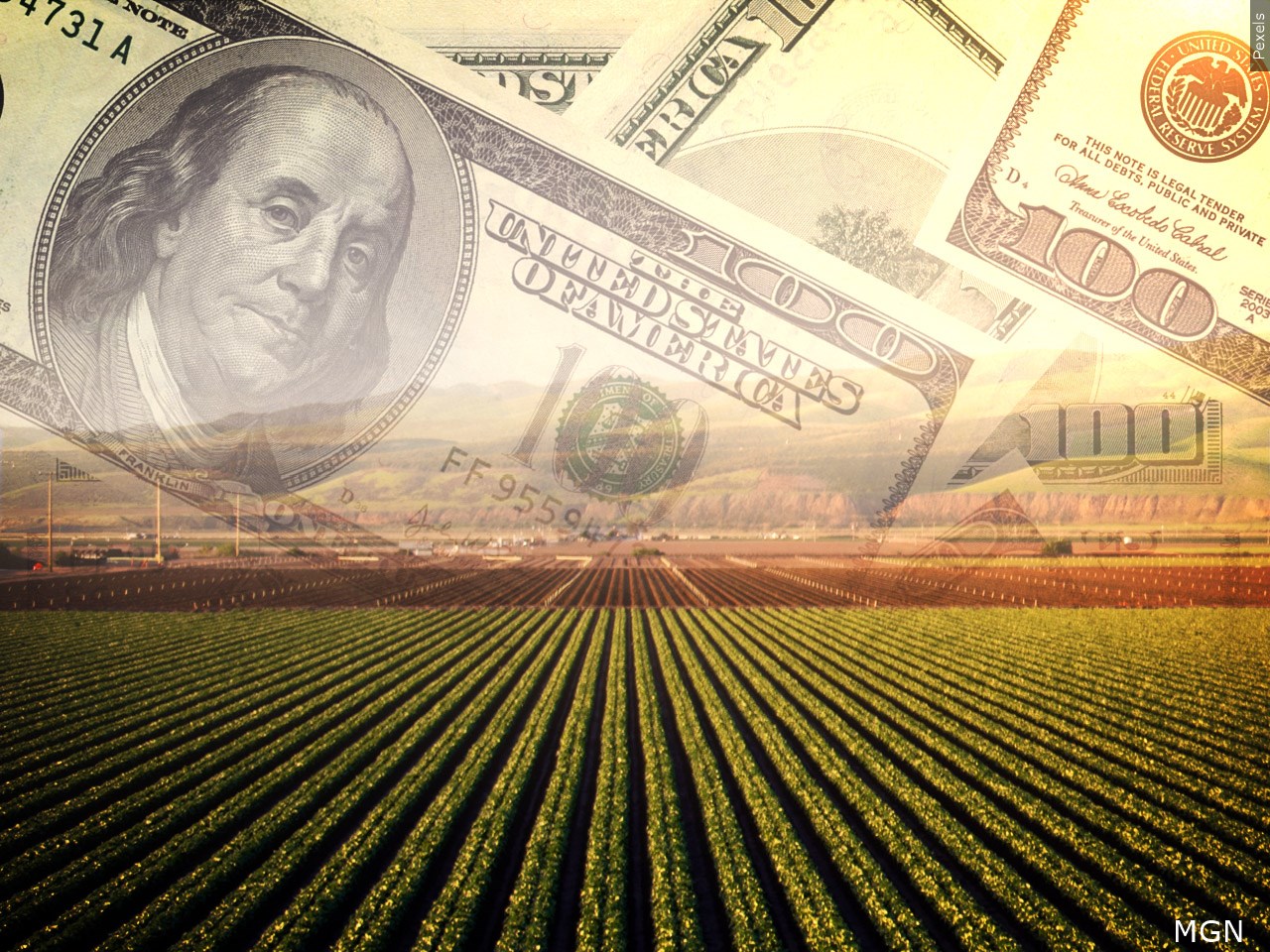 ‘Mississippi Agriculture Thrives: ‘Feeding the Economy’ Reports Growth’